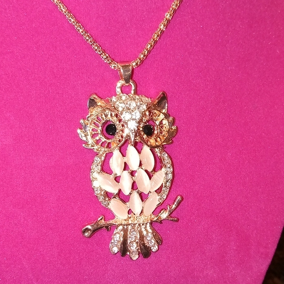 Jewelry - NWT Rose Opal Owl Long Necklace
